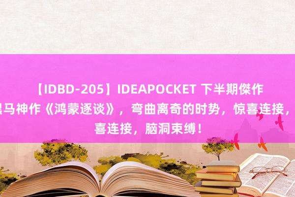 【IDBD-205】IDEAPOCKET 下半期傑作集2009 黑马神作《鸿蒙逐谈》，弯曲离奇的时势，惊喜连接，脑洞束缚！