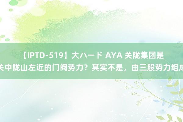 【IPTD-519】大ハード AYA 关陇集团是关中陇山左近的门阀势力？其实不是，由三股势力组成