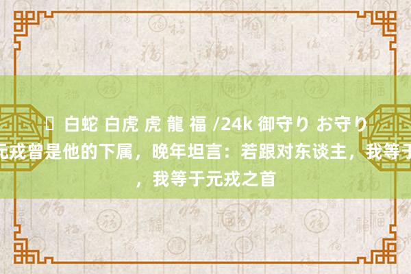 ✨白蛇 白虎 虎 龍 福 /24k 御守り お守り 5位建国元戎曾是他的下属，晚年坦言：若跟对东谈主，我等于元戎之首