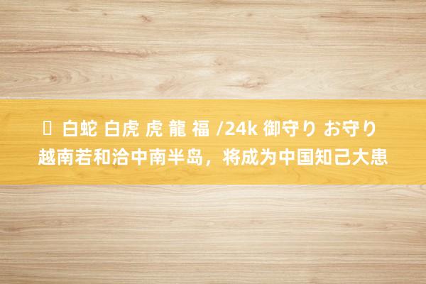 ✨白蛇 白虎 虎 龍 福 /24k 御守り お守り 越南若和洽中南半岛，将成为中国知己大患