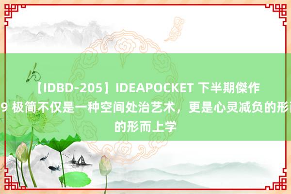 【IDBD-205】IDEAPOCKET 下半期傑作集2009 极简不仅是一种空间处治艺术，更是心灵减负的形而上学