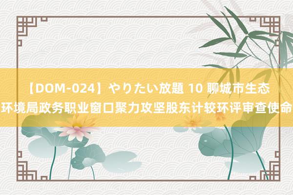 【DOM-024】やりたい放題 10 聊城市生态环境局政务职业窗口聚力攻坚股东计较环评审查使命